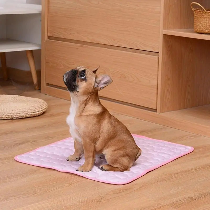 Breathable Cooling Pet Mat – Summer Bed for Dogs & Cats