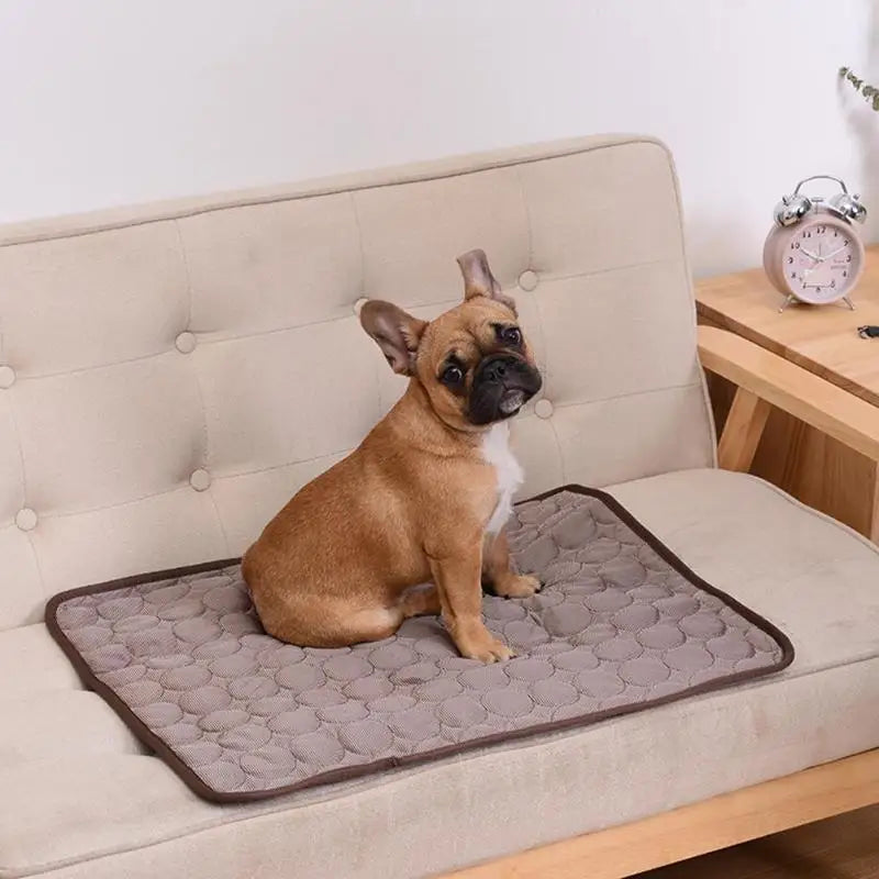 Breathable Cooling Pet Mat – Summer Bed for Dogs & Cats