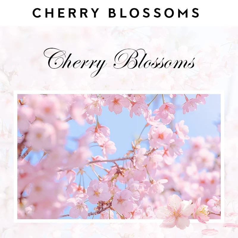 Aroma Bliss – 5ML Natural Essential Oil for Home & Diffusers