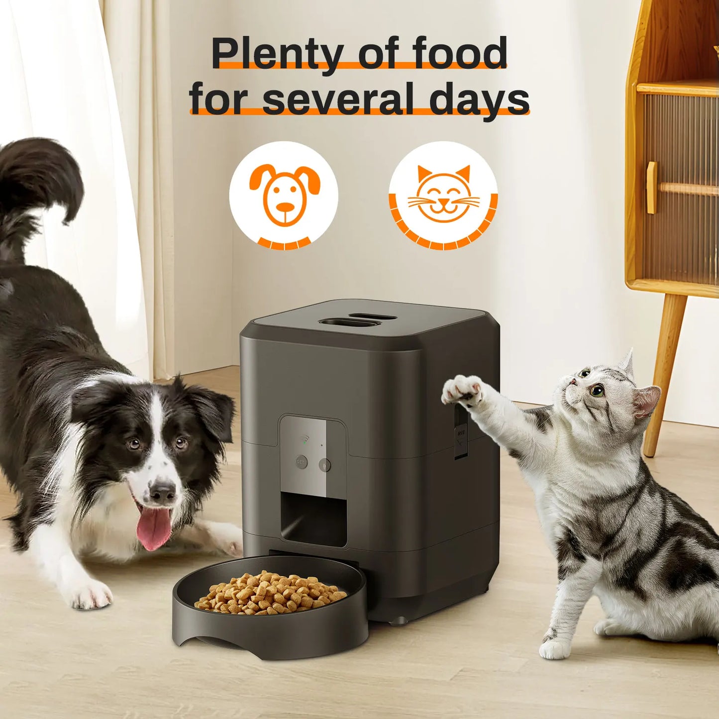 Smart Auto Pet Feeder with Timer