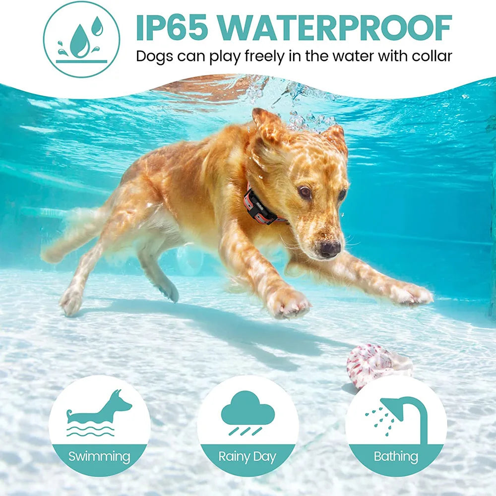 Portable Pet Water & Food Bottle – 2-in-1 Design