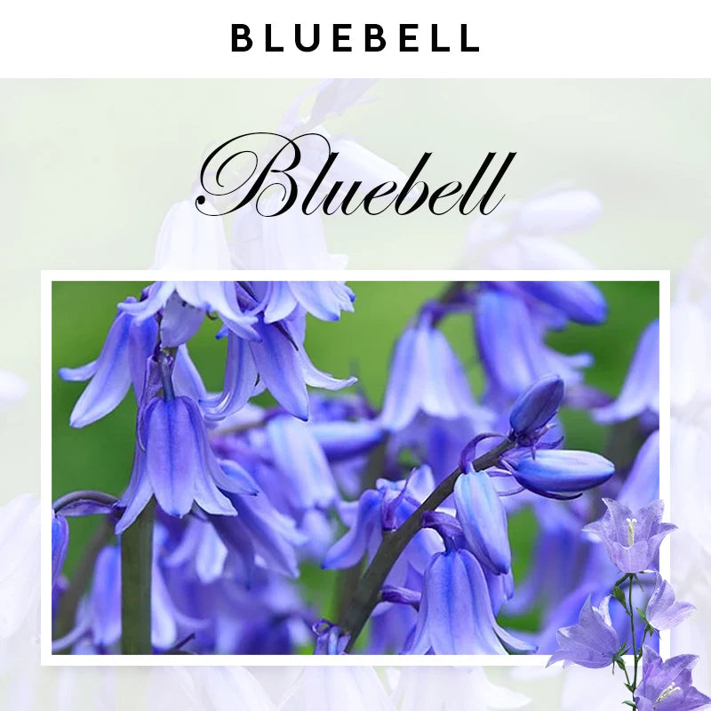 Aroma Bliss – 5ML Natural Essential Oil for Home & Diffusers
