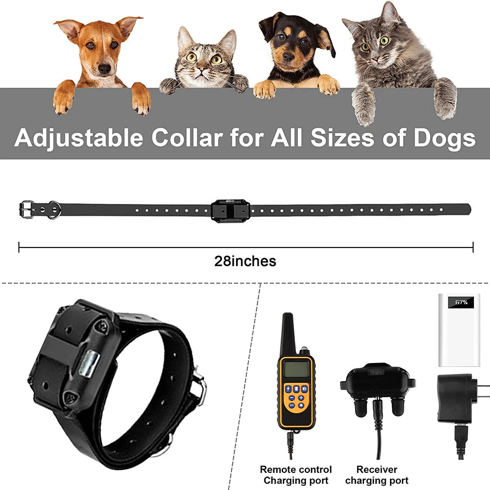 Portable Pet Water & Food Bottle – 2-in-1 Design