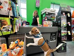 Pet Supplies & Smart Accessories